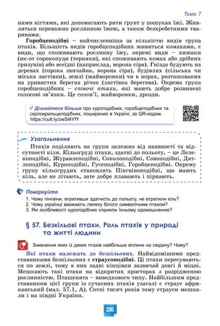 Тема 7
235
íèìè êіãòÿìè, ÿêі äîïîìàãàþòü ðèòè ґðóíò ó ïîøóêàõ їæі. Æèâ-
ëÿòüñÿ ïåðåâàæíî ðîñëèííîþ їæåþ, à òàêîæ áåçõðåáåòíèìè òâà-
ðèíàìè.
Ãîðîáöåïîäіáíі – íàé÷èñëåííіøà çà êіëüêіñòþ âèäіâ ãðóïà
ïòàõіâ. Áіëüøіñòü âèäіâ ãîðîáöåïîäіáíèõ æèâèòüñÿ êîìàõàìè, є
âèäè, ùî ñïîæèâàþòü ðîñëèííó їæó, îêðåìі âèäè – õèæàêè
(ÿê-îò ñîðîêîïóäè (òåðíÿêè), ÿêі ñïîæèâàþòü êîìàõ àáî äðіáíèõ
ãðèçóíіâ) àáî âñåїäíі (íàïðèêëàä, âîðîíà ñіðà). Ãíіçäà áóäóþòü íà
äåðåâàõ (ñîðîêà çâè÷àéíà, âîðîíà ñіðà), áóäіâëÿõ (ñіëüñüêà ÷è
ìіñüêà ëàñòіâêè), çåìëі (æàéâîðîíêè) ÷è â íîðàõ, ðîçòàøîâàíèõ
íà óðèâèñòèõ áåðåãàõ ðі÷îê (ëàñòіâêà áåðåãîâà). Îêðåìà ãðóïà
ãîðîáöåïîäіáíèõ – ñïіâî÷і ïòàõè, ÿêі ìàþòü äîáðå ðîçâèíåíі
ãîëîñîâі çâ’ÿçêè. Öå ñîëîâ’ї, æàéâîðîíêè, äðîçäè.
Дізнайтеся більше про куроподібних, горобцеподібних та
серпокрильцеподібних, поширених в Україні, за QR-кодом.
https://cutt.ly/zwSl4YfY
Узагальнення
Ïòàõіâ ïîäіëÿþòü íà ãðóïè çàëåæíî âіä íàÿâíîñòі òà âіä-
ñóòíîñòі êіëÿ. Êіëüîãðóäі ïòàõè, çäàòíі äî ïîëüîòó, – öå Ëåëå-
êîïîäіáíі, Æóðàâëåïîäіáíі, Ñîêîëîïîäіáíі, Ñîâîïîäіáíі, Äÿò-
ëîïîäіáíі, Êóðîïîäіáíі, Ãóñåïîäіáíі, Ãîðîáöåïîäіáíі. Îêðåìó
ãðóïó êіëüîãðóäèõ ñòàíîâëÿòü Ïіíãâіíîïîäіáíі, ùî ìàþòü
êіëü, àëå íå ëіòàþòü, çàòå äîáðå ïëàâàþòü і ïіðíàþòü.
Поміркуйте
1. Чому пінгвіни, втративши здатність до польоту, не втратили кіль?
2. Чому українці вважають лелеку білого символічним птахом?
3. Які особливості куроподібних сприяли їхньому одомашненню?
§ 57. Безкільові птахи. Роль птахів у природі
та житті людини
Зникнення яких із диких птахів найбільше вплине на людину? Чому?
ßêі ïòàõè íàëåæàòü äî áåçêіëüîâèõ. Íàéâіäîìіøèìè ïðåä-
ñòàâíèêàìè áåçêіëüîâèõ є ñòðàóñîïîäіáíі. Öі ïòàõè ïåðåñóâàþòü-
ñÿ ïî çåìëі, òîìó â íèõ çàäíі êіíöіâêè çàçâè÷àé äîâãі é ìіöíі.
Ìåøêàþòü òàêі ïòàõè íà âіäêðèòèõ ïðîñòîðàõ ç ðîçðіäæåíîþ
ðîñëèííіñòþ. Ïòàøåíÿòà – âèâîäêîâîãî òèïó. Íàéáіëüøèì ïðåä-
ñòàâíèêîì öієї ãðóïè іç ñó÷àñíèõ ïòàõіâ óçàãàëі є ñòðàóñ àôðè-
êàíñüêèé (ìàë. 57.1, À). Ñîòíі òèñÿ÷ ðîêіâ òîìó ñòðàóñè ìåøêà-
ëè і íà ïіâäíі Óêðàїíè.
 