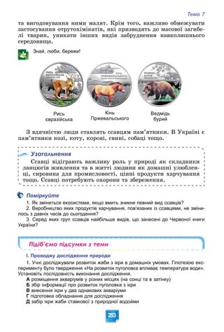 Тема 7
253
òà âèãîäîâóâàííÿ íèìè ìàëÿò. Êðіì òîãî, âàæëèâî îáìåæóâàòè
çàñòîñóâàííÿ îòðóòîõіìіêàòіâ, ÿêі ïðèçâîäÿòü äî ìàñîâîї çàãèáå-
ëі òâàðèí, óíèêàòè іíøèõ âèäіâ çàáðóäíåííÿ íàâêîëèøíüîãî
ñåðåäîâèùà.
Знай, люби, бережи!
Рись
євразійська
Кінь
Пржевальського
Ведмідь
бурий
Ç âäÿ÷íіñòþ ëþäè ñòàâëÿòü ññàâöÿì ïàì’ÿòíèêè. Â Óêðàїíі є
ïàì’ÿòíèêè êîçі, êîòó, êîðîâі, ñâèíі, ñîáàöі òîùî.
Узагальнення
Ññàâöі âіäіãðàþòü âàæëèâó ðîëü ó ïðèðîäі ÿê ñêëàäíèêè
ëàíöþãіâ æèâëåííÿ òà â æèòòі ëþäèíè ÿê äîìàøíі óëþáëåí-
öі, ñèðîâèíà äëÿ ïðîìèñëîâîñòі, öіííі ïðîäóêòè õàð÷óâàííÿ
òîùî. Ññàâöі ïîòðåáóþòü îõîðîíè òà çáåðåæåííÿ.
Поміркуйте
1. Як зміниться екосистема, якщо вмить зникне певний вид ссавців?
2. Виробництво яких продуктів харчування, пов’язаних із ссавцями, не зміни-
лось з давніх часів до сьогодення?
3. Серед яких груп ссавців найбільше видів, що занесені до Червоної книги
України?
Підіб’ємо підсумки з теми
І. Проводжу дослідження природи
1. Учні досліджували розвиток жаби з ікри в домашніх умовах. Гіпотезою екс-
перименту було твердження «На розвиток пуголовка впливає температура води».
Установіть послідовність виконання дослідження.
А розміщення акваріумів у різних місцях (на сонці та в затінку)
Б збір інформації про розвиток пуголовка з ікри
В внесення ікри у два однакових акваріуми
Г підготовка обладнання для дослідження
Д забір ікри жаби ставкової з природної водойми
 