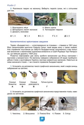 Розділ 2
256
2. Розгляньте тварин на малюнку. Виберіть перелік ознак, які є спільними
для них.
1. Відкладають яйця 4. Мають крила
2. Вигодовують малят молоком 5. Теплокровні тварини
3. Дихають легенями
А 1, 3 Б 1, 4 В 2, 3 Г 2, 4 Д 3, 5
Компетентнісно орієнтоване завдання
Термін «бьордвотчінг» – «спостереження за птахами» – з’явився в 1901 році.
Його запропонував орнітолог Едмунд Селус, який видав книгу з такою назвою.
Але справжнім поштовхом до набуття бьордвотчінгом популярності став польо-
вий визначник з малюнками художника-анімаліста зі США Роджера Торі Петерсо-
на, що вийшов друком у 1934 році.
Розвиток інфографіки дав змогу зробити визначники ще більш наочними і
зручними у використанні. На малюнку наведено зображення 25 видів горобцепо-
дібних птахів з орнітофауни України у вигляді символічних малюнків. Навчіться за
ними визначати птахів – і ви станете справжнім бьордвотчером!
1. Установіть за допомогою такого графічного визначника, який з видів синиць
зображений на світлині.
Синиця
блакитна
Синиця
велика
Синиця
довгохвоста
Гаїчка-пухляк
А Б В Г
2. Установіть за допомогою графічного визначника представників птахів, наве-
дених на світлинах.
А Б В Г
1. Чикотень 2. Вільшанка 3. Плиска біла 4. Повзик 5. Снігур
 