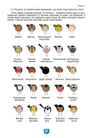 Тема 7
257
3. Установіть за схематичними малюнками, про якого птаха йдеться в описі:
«Птах зверху оливково-зелений; на потилиці – поздовжня жовта смуга із жов-
тогарячим пасмом посередині та чорними смужками по краях; низ білуватий, з
легким бурим відтінком; на покривних перах крила дві вузькі жовтуваті смужки;
махові і стернові (рульові) пера бурі; дзьоб чорно-бурий».
Волове Вівсянка Плиска Трав’янка Трав’янка
очко звичайна біла звичайна лучна
Підкоришник Повзик Омелюх Снігур Горобець
звичайний хатній
Коноплянка Вільшанка Дрізд чорний Чикотень Дрізд співочий
Синиця Синиця Синиця Гаїчка-пухляк Кропив’янка
блакитна велика довгохвоста чорноголова
Зяблик Щиглик Золотомушка Зеленяк Сойка
жовточуба
 