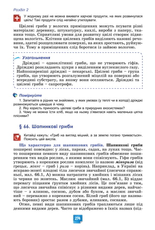 Розділ 2
274
У жодному разі не можна вживати харчові продукти, на яких розвинулася
цвіль! Такі продукти слід негайно утилізувати.
Öâіëåâі ãðèáè ó âîëîãèõ ïðèìіùåííÿõ ìîæóòü ïñóâàòè ðіçíі
ìàòåðіàëè: äåðåâèíó, øòóêàòóðêó, êàõëі, âèðîáè ç ïàïåðó, òêà-
íèíè òîùî. Ñïðèÿòëèâі óìîâè äëÿ ðîçâèòêó öâіëі ñòâîðþє ïіäâè-
ùåíà âîëîãіñòü. Êëіòèíè öâіëåâèõ ãðèáіâ âèäіëÿþòü íàçîâíі ðå÷î-
âèíè, çäàòíі ðîçùåïëþâàòè ïîâåðõíі, íà ÿêèõ çðîñòàþòü, ðóéíóþ-
÷è їõ. Òîìó â ïðèìіùåííÿõ ñëіä áîðîòèñÿ іç çàéâîþ âîëîãîþ.
Узагальнення
Äðіæäæі – îäíîêëіòèííі ãðèáè, ùî íå óòâîðþþòü ãіôіâ.
Äðіæäæі ðîçêëàäàþòü öóêðè ç âèäіëåííÿì âóãëåêèñëîãî ãàçó.
Íàéïîøèðåíіøі äðіæäæі – ïåêàðñüêі. Öâіëåâі ãðèáè – ãðóïà
ãðèáіâ, ùî óòâîðþþòü ðîçãàëóæåíèé ìіöåëіé íà ïîâåðõíі àáî
âñåðåäèíі ñóáñòðàòó, íà ÿêîìó âîíè îñåëÿþòüñÿ. Äðіæäæі òà
öâіëåâі ãðèáè – ñàïðîòðîôè.
Поміркуйте
1. Запитайте в рідних чи знайомих, у яких умовах (у теплі чи в холоді) дріжджі
розмножуються швидше й чому.
2. Яку користь приносять цвілеві гриби в природних екосистемах?
3. Чому не можна їсти хліб, якщо на ньому з’явилася навіть маленька цятка
плісняви?
§ 66. Шапинкові гриби
Китайці кажуть: «Гриб на вигляд міцний, а за землю погано тримається».
Поясніть цей вислів.
Ùî õàðàêòåðíî äëÿ øàïèíêîâèõ ãðèáіâ. Øàïèíêîâі ãðèáè
ïîøèðåíі ïîâñþäíî: ó ëіñàõ, ïàðêàõ, ñàäàõ, íà ëóêàõ òîùî. ×àñ-
òî ïîøèðåííÿ ïåâíîãî âèäó øàïèíêîâèõ ãðèáіâ îáìåæåíå ïîøè-
ðåííÿì òèõ âèäіâ ðîñëèí, ç ÿêèìè âîíè ñïіâіñíóþòü. Ãіôè ãðèáіâ
óòâîðþþòü ç êîðåíÿìè ðîñëèí êîìïëåêñ іç íàçâîþ ìіêîðèçà (âіä
ãðåöüê. ìіêåñ – ãðèá і ðèçà – êîðіíü). Íàïðèêëàä, â Óêðàїíі íà
ÿñêðàâî-æîâòі ïëîäîâі òіëà ëèñè÷êè çâè÷àéíîї (ëèñè÷êè ñïðàâæ-
íüîї, ìàë. 66.1, À) ìîæíà íàòðàïèòè ó õâîéíèõ і ìіøàíèõ ëіñàõ
іç ÷åðâíÿ ïî æîâòåíü. Ìàñëþê çâè÷àéíèé (ìàë. 66.1, Á) âіääàє
ïåðåâàãó ïіùàíèì ґðóíòàì õâîéíèõ ëіñіâ. Öå ïîâ’ÿçàíå ç òèì,
ùî ëèñè÷êà çâè÷àéíà ñïіâіñíóє ç ðіçíèìè âèäàìè äåðåâ, íàé÷àñ-
òіøå – ç ÿëèíîþ, ñîñíîþ, äóáîì àáî áóêîì, à ìàñëþê çâè÷àé-
íèé – ïåðåâàæíî ç êîðåíÿìè ñîñíè. Áіëèé ãðèá (éîãî ùå íàçèâà-
þòü áîðîâèê) çðîñòàє ðàçîì ç äóáàìè, ÿëèíàìè, ñîñíàìè.
Îòæå, ïåâíі âèäè øàïèíêîâèõ ãðèáіâ òðàïëÿþòüñÿ ëèøå ïіä
äåÿêèìè âèäàìè äåðåâ. ×àñòî öå âіäîáðàæåíî â їõíіõ íàçâàõ (ïіä-
 
