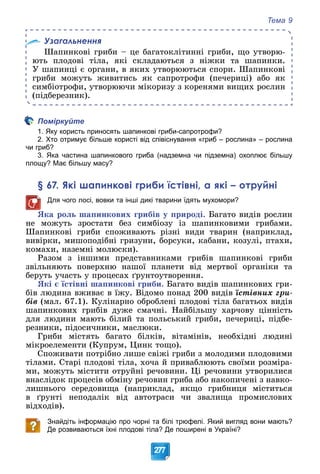 Тема 9
277
Узагальнення
Øàïèíêîâі ãðèáè – öå áàãàòîêëіòèííі ãðèáè, ùî óòâîðþ-
þòü ïëîäîâі òіëà, ÿêі ñêëàäàþòüñÿ ç íіæêè òà øàïèíêè.
Ó øàïèíöі є îðãàíè, â ÿêèõ óòâîðþþòüñÿ ñïîðè. Øàïèíêîâі
ãðèáè ìîæóòü æèâèòèñü ÿê ñàïðîòðîôè (ïå÷åðèöі) àáî ÿê
ñèìáіîòðîôè, óòâîðþþ÷è ìіêîðèçó ç êîðåíÿìè âèùèõ ðîñëèí
(ïіäáåðåçíèê).
Поміркуйте
1. Яку користь приносять шапинкові гриби-сапротрофи?
2. Хто отримує більше користі від співіснування «гриб – рослина» – рослина
чи гриб?
3. Яка частина шапинкового гриба (надземна чи підземна) охоплює більшу
площу? Має більшу масу?
§ 67. Які шапинкові гриби їстівні, а які – отруйні
Для чого лосі, вовки та інші дикі тварини їдять мухомори?
ßêà ðîëü øàïèíêîâèõ ãðèáіâ ó ïðèðîäі. Áàãàòî âèäіâ ðîñëèí
íå ìîæóòü çðîñòàòè áåç ñèìáіîçó іç øàïèíêîâèìè ãðèáàìè.
Øàïèíêîâі ãðèáè ñïîæèâàþòü ðіçíі âèäè òâàðèí (íàïðèêëàä,
âèâіðêè, ìèøîïîäіáíі ãðèçóíè, áîðñóêè, êàáàíè, êîçóëі, ïòàõè,
êîìàõè, íàçåìíі ìîëþñêè).
Ðàçîì ç іíøèìè ïðåäñòàâíèêàìè ãðèáіâ øàïèíêîâі ãðèáè
çâіëüíÿþòü ïîâåðõíþ íàøîї ïëàíåòè âіä ìåðòâîї îðãàíіêè òà
áåðóòü ó÷àñòü ó ïðîöåñàõ ґðóíòîóòâîðåííÿ.
ßêі є їñòіâíі øàïèíêîâі ãðèáè. Áàãàòî âèäіâ øàïèíêîâèõ ãðè-
áіâ ëþäèíà âæèâàє â їæó. Âіäîìî ïîíàä 200 âèäіâ їñòіâíèõ ãðè-
áіâ (ìàë. 67.1). Êóëіíàðíî îáðîáëåíі ïëîäîâі òіëà áàãàòüîõ âèäіâ
øàïèíêîâèõ ãðèáіâ äóæå ñìà÷íі. Íàéáіëüøó õàð÷îâó öіííіñòü
äëÿ ëþäèíè ìàþòü áіëèé òà ïîëüñüêèé ãðèáè, ïå÷åðèöі, ïіäáå-
ðåçíèêè, ïіäîñè÷íèêè, ìàñëþêè.
Ãðèáè ìіñòÿòü áàãàòî áіëêіâ, âіòàìіíіâ, íåîáõіäíі ëþäèíі
ìіêðîåëåìåíòè (Êóïðóì, Öèíê òîùî).
Ñïîæèâàòè ïîòðіáíî ëèøå ñâіæі ãðèáè ç ìîëîäèìè ïëîäîâèìè
òіëàìè. Ñòàðі ïëîäîâі òіëà, õî÷à é ïðèâàáëþþòü ñâîїìè ðîçìіðà-
ìè, ìîæóòü ìіñòèòè îòðóéíі ðå÷îâèíè. Öі ðå÷îâèíè óòâîðèëèñÿ
âíàñëіäîê ïðîöåñіâ îáìіíó ðå÷îâèí ãðèáà àáî íàêîïè÷åíі ç íàâêî-
ëèøíüîãî ñåðåäîâèùà (íàïðèêëàä, ÿêùî ãðèáíèöÿ ìіñòèòüñÿ
â ґðóíòі íåïîäàëіê âіä àâòîòðàñè ÷è çâàëèùà ïðîìèñëîâèõ
âіäõîäіâ).
Знайдіть інформацію про чорні та білі трюфелі. Який вигляд вони мають?
Де розвиваються їхні плодові тіла? Де поширені в Україні?
 