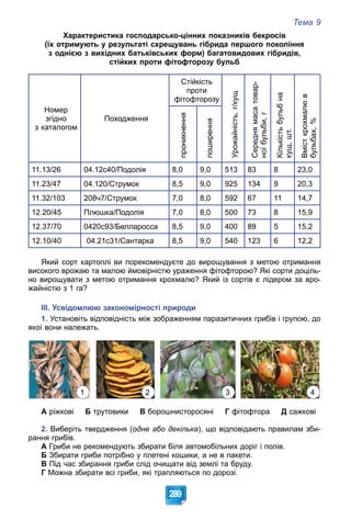 Тема 9
289
Характеристика господарсько-цінних показників бекросів
(їх отримують у результаті схрещувань гібрида першого покоління
з однією з вихідних батьківських форм) багатовидових гібридів,
стійких проти фітофторозу бульб
Номер
згідно
з каталогом
Походження
Стійкість
проти
фітофторозу
Урожайність,
г/кущ
Середня
маса
товар-
ної
бульби,
г
Кількість
бульб
на
кущ,
шт.
Вміст
крохмалю
в
бульбах,
%
проникнення
поширення
11.13/26 04.12с40/Подолія 8,0 9,0 513 83 8 23,0
11.23/47 04.120/Струмок 8,5 9,0 925 134 9 20,3
11.32/103 208ч7/Струмок 7,0 8,0 592 67 11 14,7
12.20/45 Плюшка/Подолія 7,0 8,0 500 73 8 15,9
12.37/70 0420с93/Белларосса 8,5 9,0 400 89 5 15,2
12.10/40 04.21с31/Сантарка 8,5 9,0 540 123 6 12,2
Який сорт картоплі ви порекомендуєте до вирощування з метою отримання
високого врожаю та малою ймовірністю ураження фітофторою? Які сорти доціль-
но вирощувати з метою отримання крохмалю? Який із сортів є лідером за вро-
жайністю з 1 га?
ІІІ. Усвідомлюю закономірності природи
1. Установіть відповідність між зображенням паразитичних грибів і групою, до
якої вони належать.
1 2 3 4
А ріжкові Б трутовики В борошнисторосяні Г фітофтора Д сажкові
2. Виберіть твердження (одне або декілька), що відповідають правилам зби-
рання грибів.
А Гриби не рекомендують збирати біля автомобільних доріг і полів.
Б Збирати гриби потрібно у плетені кошики, а не в пакети.
В Під час збирання гриби слід очищати від землі та бруду.
Г Можна збирати всі гриби, які трапляються по дорозі.
 