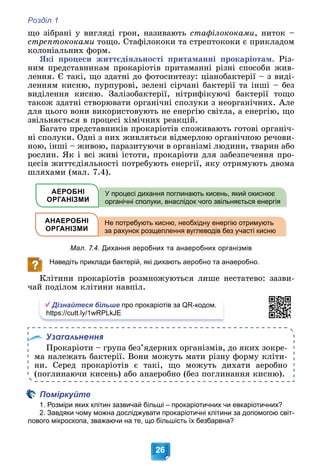 Розділ 1
26
ùî çіáðàíі ó âèãëÿäі ãðîí, íàçèâàþòü ñòàôіëîêîêàìè, íèòîê –
ñòðåïòîêîêàìè òîùî. Ñòàôіëîêîêè òà ñòðåïòîêîêè є ïðèêëàäîì
êîëîíіàëüíèõ ôîðì.
ßêі ïðîöåñè æèòòєäіÿëüíîñòі ïðèòàìàííі ïðîêàðіîòàì. Ðіç-
íèì ïðåäñòàâíèêàì ïðîêàðіîòіâ ïðèòàìàííі ðіçíі ñïîñîáè æèâ-
ëåííÿ. Є òàêі, ùî çäàòíі äî ôîòîñèíòåçó: öіàíîáàêòåðії – ç âèäі-
ëåííÿì êèñíþ, ïóðïóðîâі, çåëåíі ñіð÷àíі áàêòåðії òà іíøі – áåç
âèäіëåííÿ êèñíþ. Çàëіçîáàêòåðії, íіòðèôіêóþ÷і áàêòåðії òîùî
òàêîæ çäàòíі ñòâîðþâàòè îðãàíі÷íі ñïîëóêè ç íåîðãàíі÷íèõ. Àëå
äëÿ öüîãî âîíè âèêîðèñòîâóþòü íå åíåðãіþ ñâіòëà, à åíåðãіþ, ùî
çâіëüíÿєòüñÿ â ïðîöåñі õіìі÷íèõ ðåàêöіé.
Áàãàòî ïðåäñòàâíèêіâ ïðîêàðіîòіâ ñïîæèâàþòü ãîòîâі îðãàíі÷-
íі ñïîëóêè. Îäíі ç íèõ æèâëÿòüñÿ âіäìåðëîþ îðãàíі÷íîþ ðå÷îâè-
íîþ, іíøі – æèâîþ, ïàðàçèòóþ÷è â îðãàíіçìі ëþäèíè, òâàðèí àáî
ðîñëèí. ßê і âñі æèâі іñòîòè, ïðîêàðіîòè äëÿ çàáåçïå÷åííÿ ïðî-
öåñіâ æèòòєäіÿëüíîñòі ïîòðåáóþòü åíåðãії, ÿêó îòðèìóþòü äâîìà
øëÿõàìè (ìàë. 7.4).
АЕРОБНІ
ОРГАНІЗМИ
У процесі дихання поглинають кисень, який окиснює
органічні сполуки, внаслідок чого звільняється енергія
Не потребують кисню, необхідну енергію отримують
за рахунок розщеплення вуглеводів без участі кисню
АНАЕРОБНІ
ОРГАНІЗМИ
Мал. 7.4. Дихання аеробних та анаеробних організмів
Наведіть приклади бактерій, які дихають аеробно та анаеробно.
Êëіòèíè ïðîêàðіîòіâ ðîçìíîæóþòüñÿ ëèøå íåñòàòåâî: çàçâè-
÷àé ïîäіëîì êëіòèíè íàâïіë.
Дізнайтеся більше про прокаріотів за QR-кодом.
https://cutt.ly/1wRPLkJE
Узагальнення
Ïðîêàðіîòè – ãðóïà áåç’ÿäåðíèõ îðãàíіçìіâ, äî ÿêèõ çîêðå-
ìà íàëåæàòü áàêòåðії. Âîíè ìîæóòü ìàòè ðіçíó ôîðìó êëіòè-
íè. Ñåðåä ïðîêàðіîòіâ є òàêі, ùî ìîæóòü äèõàòè àåðîáíî
(ïîãëèíàþ÷è êèñåíü) àáî àíàåðîáíî (áåç ïîãëèíàííÿ êèñíþ).
Поміркуйте
1. Розміри яких клітин зазвичай більші – прокаріотичних чи евкаріотичних?
2. Завдяки чому можна досліджувати прокаріотичні клітини за допомогою світ-
лового мікроскопа, зважаючи на те, що більшість їх безбарвна?
 