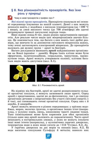 Тема 1
27
§ 8. Яка різноманітність прокаріотів. Яка їхня
роль у природі
Чому в назві прокаріотів є префікс про-?
ßêі âіäîìі ãðóïè ïðîêàðіîòіâ. Ïðîêàðіîòè îïàíóâàëè âñі îñíîâ-
íі ñåðåäîâèùà іñíóâàííÿ íà íàøіé ïëàíåòі. Äåÿêі ç íèõ ìîæóòü
ìåøêàòè íàâіòü ó âîäîéìàõ ç âèñîêîþ òåìïåðàòóðîþ (äî +100 Ñ
і âèùå), çà óìîâ âèñîêîãî òèñêó (äî 700 àòìîñôåð) àáî çäàòíі
âèòðèìóâàòè òðèâàëі ïîñóøëèâі ïåðіîäè òîùî.
Íèíі âіäîìî ïîíàä 6 òèñ. âèäіâ ðіçíèõ ïðåäñòàâíèêіâ ïðîêàðі-
îòіâ. Àëå ðåàëüíå ÷èñëî âèäіâ öèõ ìіêðîîðãàíіçìіâ çíà÷íî áіëü-
øå. Öå ïîÿñíþєòüñÿ òèì, ùî áàãàòî ç íèõ ìàþòü òàêі äðіáíі ðîç-
ìіðè, ùî âèâ÷àòè їõ çà äîïîìîãîþ ñâіòëîâîãî ìіêðîñêîïà âàæêî,
òîìó â÷åíі çàñòîñîâóþòü åëåêòðîííèé ìіêðîñêîï. Äî ïðîêàðіîòіâ
íàëåæàòü äâі âåëèêі ãðóïè – àðõåї òà áàêòåðії.
Áàãàòî äîñëіäíèêіâ ââàæàþòü àðõåé íàéäàâíіøèìè îðãàíіçìà-
ìè íà Çåìëі (àðõàéîñ – äàâíіé). Ôîðìà їõíіõ êëіòèí ìîæå áóòè
ñôåðè÷íîþ, ïàëè÷êîïîäіáíîþ, ñïіðàëüíîþ, òðèêóòíîþ, ïðÿìî-
êóòíîþ òîùî. Àðõåї ìîæóòü óòâîðþâàòè êîëîíії, êëіòèíè áàãà-
òüîõ âèäіâ ìàþòü äæãóòèêè (ìàë. 8.1).
Мал. 8.1. Різноманітність архей
Íà âіäìіíó âіä áàêòåðіé, àðõåї íå çäàòíі ðîçùåïëþâàòè ñêëàä-
íі îðãàíі÷íі ñïîëóêè, à ìîæóòü çàñâîþâàòè ëèøå ïðîñòі. Ñåðåä
àðõåé є ïðåäñòàâíèêè, çäàòíі ÿê äî ôîòîñèíòåçó, òàê і äî ñèíòåçó
îðãàíі÷íèõ ðå÷îâèí ç íåîðãàíі÷íèõ áåç ó÷àñòі ñâіòëîâîї åíåðãії; є
é òàêі, ÿêі ñïîæèâàþòü ãîòîâі îðãàíі÷íі ñïîëóêè. Ñåðåä íèõ є é
àåðîáè, é àíàåðîáè.
Àðõåї ìîæóòü ìåøêàòè â ðіçíèõ ñåðåäîâèùàõ: ó ïðіñíèõ âîäî-
éìàõ, ìîðÿõ, âîëîãèõ ґðóíòàõ, â îðãàíіçìàõ іíøèõ іñòîò (íàïðè-
êëàä, ó øëóíêó êîðіâ, îâåöü, êèøêîâîìó òðàêòі ëþäèíè òîùî).
Òàêå ñïіâіñíóâàííÿ ìîæå áóòè êîðèñíèì äëÿ îáîõ îðãàíіçìіâ
(òіëüêè îäèí âèä àðõåé íàëåæèòü äî ïàðàçèòè÷íèõ). ×àñòî àðõåї
ìåøêàþòü â åêñòðåìàëüíèõ óìîâàõ, ó ÿêèõ íå ìîæóòü іñíóâàòè
іíøі æèâі іñòîòè (íàïðèêëàä, ó âóëêàíі÷íèõ ãàðÿ÷èõ äæåðåëàõ,
òåìïåðàòóðà âîäè â ÿêèõ ìîæå ñÿãàòè äî +113 Ñ) (ìàë. 8.2, À).
Ó ãàðÿ÷èõ äæåðåëàõ íà äíі ìîðіâ òà îêåàíіâ (ìàë. 8.2, Á)
âîäà íàñè÷åíà ñïîëóêàìè Ñóëüôóðó é ìåòàëіâ; íàâêîëî íèõ
 