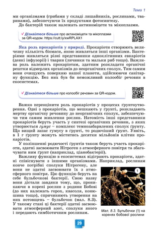 Тема 1
29
ìè îðãàíіçìàìè (ãðèáàìè ó ñêëàäі ëèøàéíèêіâ, ðîñëèíàìè, òâà-
ðèíàìè), çàáåçïå÷óþ÷è їõ ïðîäóêòàìè ôîòîñèíòåçó.
Äî áàêòåðіé òàêîæ íàëåæàòü àêòèíîìіöåòè òà ìіêîïëàçìè.
Дізнайтеся більше про актиноміцети та мікоплазми
за QR-кодом. https://cutt.ly/xwRPLAX1
ßêà ðîëü ïðîêàðіîòіâ ó ïðèðîäі. Ïðîêàðіîòè ñòâîðþþòü âåëè-
÷åçíó êіëüêіñòü áіîìàñè, ÿêîþ æèâëÿòüñÿ іíøі îðãàíіçìè. Áàêòå-
ðіÿìè æèâëÿòüñÿ ðіçíі ïðåäñòàâíèêè îäíîêëіòèííèõ åâêàðіîòіâ
(äåÿêі іíôóçîðії) і òâàðèí (ëè÷èíêè òà ìàëüêè ðèá òîùî). Âàæëè-
âà ðîëü íàëåæèòü ïðîêàðіîòàì, çäàòíèì ðîçêëàäàòè îðãàíі÷íі
ðåøòêè âіäìåðëèõ îðãàíіçìіâ äî íåîðãàíі÷íèõ ñïîëóê. Òèì ñàìèì
âîíè î÷èùóþòü ïîâåðõíþ íàøîї ïëàíåòè, çäіéñíþþ÷è ñàíіòàð-
íó ôóíêöіþ. Áåç íèõ áóâ áè íåìîæëèâèé êîëîîáіã ðå÷îâèí â
åêîñèñòåìàõ.
Дізнайтеся більше про колообіг речовин за QR-кодом.
Âàæêî ïåðåîöіíèòè ðîëü ïðîêàðіîòіâ ó ïðîöåñàõ ґðóíòîóòâî-
ðåííÿ. Îäíі ç ïðîêàðіîòіâ, ùî ìåøêàþòü ó ґðóíòі, ðîçêëàäàþòü
ìåðòâó îðãàíі÷íó ðå÷îâèíó äî íåîðãàíі÷íèõ ñïîëóê, çàáåçïå÷óþ-
÷è òèì ñàìèì æèâëåííÿ ðîñëèí. Íàòîìіñòü іíøі ïðåäñòàâíèêè
ïðîêàðіîòіâ áåðóòü ó÷àñòü ó ñèíòåçі îðãàíі÷íèõ ðå÷îâèí, ç ÿêèõ
óòâîðþєòüñÿ ãóìóñ – êîìïëåêñ òåìíîçàáàðâëåíèõ ñïîëóê ґðóíòó.
Ùî âèùèé çàïàñ ãóìóñó â ґðóíòі, òî ðîäþ÷іøèé ґðóíò. Óÿâіòü,
â 1 ã ґðóíòó ìîæóòü ìіñòèòèñü äåñÿòêè ìіëüéîíіâ êëіòèí ïðî-
êàðіîòіâ.
Ó ïîëіïøåííі ðîäþ÷îñòі ґðóíòіâ òàêîæ áåðóòü ó÷àñòü ïðîêàðі-
îòè, çäàòíі çàñâîþâàòè Íіòðîãåí ç àòìîñôåðíîãî ïîâіòðÿ òà çáàãà-
÷óâàòè íèì ґðóíò (íàïðèêëàä, öіàíîáàêòåðії).
Âàæëèâó ôóíêöіþ â åêîñèñòåìàõ âіäіãðàþòü ïðîêàðіîòè, çäàò-
íі ñïіâіñíóâàòè ç іíøèìè îðãàíіçìàìè. Íàïðèêëàä, ðîñëèíàì
êîí÷å ïîòðіáíі ñïîëóêè Íіòðîãåíó, àëå
âîíè íå çäàòíі çàñâîþâàòè їõ ç àòìî-
ñôåðíîãî ïîâіòðÿ. Öþ ôóíêöіþ áåðóòü íà
ñåáå áóëüáî÷êîâі áàêòåðії. Ñâîþ íàçâó
âîíè äіñòàëè çàâäÿêè òîìó, ùî, ïðîíè-
êàþ÷è â êîðåíі ðîñëèí ç ðîäèíè Áîáîâі
(äî íèõ íàëåæàòü ãîðîõ, êâàñîëÿ, êîíþ-
øèíà òîùî), ñïðè÷èíÿþòü óòâîðåííÿ íà
íèõ ïîòîâùåíü – áóëüáî÷îê (ìàë. 8.3).
Ó òàêîìó ñòàíі öі áàêòåðії çäàòíі çàñâîþ-
âàòè àòìîñôåðíèé àçîò, ñïîëóêè ÿêîãî
і ïåðåäàþòü ñèìáіîòè÷íèì ðîñëèíàì. Мал. 8.3. Бульбочки (1) на
коренях бобової рослини
1
 