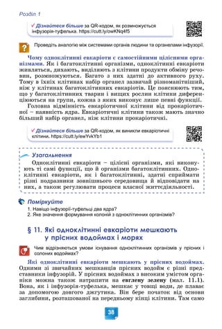 Розділ 1
38
Дізнайтеся більше за QR-кодом, як розмножується
інфузорія-туфелька. https://cutt.ly/owKNq4f5
Проведіть аналогію між системами органів людини та органелами інфузорії.
×îìó îäíîêëіòèííі åâêàðіîòè є ñàìîñòіéíèìè öіëіñíèìè îðãà-
íіçìàìè. ßê і áàãàòîêëіòèííі îðãàíіçìè, îäíîêëіòèííі åâêàðіîòè
æèâëÿòüñÿ, äèõàþòü, âèäіëÿþòü ç êëіòèíè ïðîäóêòè îáìіíó ðå÷î-
âèí, ðîçìíîæóþòüñÿ. Áàãàòî ç íèõ çäàòíі äî àêòèâíîãî ðóõó.
Òîìó â їõíіõ êëіòèíàõ íàáіð îðãàíåë çàçâè÷àé ðіçíîìàíіòíіøèé,
íіæ ó êëіòèíàõ áàãàòîêëіòèííèõ åâêàðіîòіâ. Öå ïîÿñíþþòü òèì,
ùî ó áàãàòîêëіòèííèõ òâàðèí і âèùèõ ðîñëèí êëіòèíè äèôåðåí-
öіþþòüñÿ íà ãðóïè, êîæíà ç ÿêèõ âèêîíóє ëèøå ïåâíі ôóíêöії.
Ãîëîâíà âіäìіííіñòü åâêàðіîòè÷íîї êëіòèíè âіä ïðîêàðіîòè÷-
íîї – íàÿâíіñòü ÿäðà. Åâêàðіîòè÷íі êëіòèíè òàêîæ ìàþòü çíà÷íî
áіëüøèé íàáіð îðãàíåë, íіæ êëіòèíè ïðîêàðіîòè÷íі.
Дізнайтеся більше за QR-кодом, як виникли евкаріотичні
клітини. https://cutt.ly/ewYvkYb1
Узагальнення
Îäíîêëіòèííі åâêàðіîòè – öіëіñíі îðãàíіçìè, ÿêі âèêîíó-
þòü òі ñàìі ôóíêöії, ùî é îðãàíіçìè áàãàòîêëіòèííèõ. Îäíî-
êëіòèííі åâêàðіîòè, ÿê і áàãàòîêëіòèííі, çäàòíі ñïðèéìàòè
ðіçíі ïîäðàçíèêè çîâíіøíüîãî ñåðåäîâèùà é âіäïîâіäàòè íà
íèõ, à òàêîæ ðåãóëþâàòè ïðîöåñè âëàñíîї æèòòєäіÿëüíîñòі.
Поміркуйте
1. Навіщо інфузорії-туфельці два ядра?
2. Яке значення формування колоній з одноклітинних організмів?
§ 11. Які одноклітинні евкаріоти мешкають
у прісних водоймах і морях
Чим відрізняються умови існування одноклітинних організмів у прісних і
солоних водоймах?
ßêі îäíîêëіòèííі åâêàðіîòè ìåøêàþòü ó ïðіñíèõ âîäîéìàõ.
Îäíèìè çі çâè÷àéíèõ ìåøêàíöіâ ïðіñíèõ âîäîéì є ðіçíі ïðåä-
ñòàâíèêè іíôóçîðіé. Ó ïðіñíèõ âîäîéìàõ ç âèñîêèì óìіñòîì îðãà-
íіêè ìîæíà òàêîæ íàòðàïèòè íà åâãëåíó çåëåíó (ìàë. 11.1).
Âîíà, ÿê і іíôóçîðіÿ-òóôåëüêà, ìåøêàє ó òîâùі âîäè, äå ïëàâàє
çà äîïîìîãîþ äîâãîãî äæãóòèêà. Âіí áåðå ïî÷àòîê âіä îñíîâè
çàãëèáèíè, ðîçòàøîâàíîї íà ïåðåäíüîìó êіíöі êëіòèíè. Òàì ñàìî
 