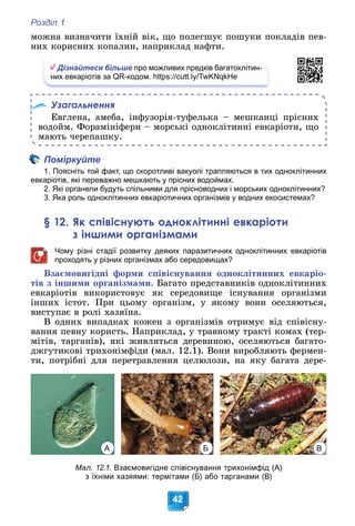 Розділ 1
42
ìîæíà âèçíà÷èòè їõíіé âіê, ùî ïîëåãøóє ïîøóêè ïîêëàäіâ ïåâ-
íèõ êîðèñíèõ êîïàëèí, íàïðèêëàä íàôòè.
Дізнайтеся більше про можливих предків багатоклітин-
них евкаріотів за QR-кодом. https://cutt.ly/TwKNqkHe
Узагальнення
Åâãëåíà, àìåáà, іíôóçîðіÿ-òóôåëüêà – ìåøêàíöі ïðіñíèõ
âîäîéì. Ôîðàìіíіôåðè – ìîðñüêі îäíîêëіòèííі åâêàðіîòè, ùî
ìàþòü ÷åðåïàøêó.
Поміркуйте
1. Поясніть той факт, що скоротливі вакуолі трапляються в тих одноклітинних
евкаріотів, які переважно мешкають у прісних водоймах.
2. Які органели будуть спільними для прісноводних і морських одноклітинних?
3. Яка роль одноклітинних евкаріотичних організмів у водних екосистемах?
§ 12. Як співіснують одноклітинні евкаріоти
з іншими організмами
Чому різні стадії розвитку деяких паразитичних одноклітинних евкаріотів
проходять у різних організмах або середовищах?
Âçàєìîâèãіäíі ôîðìè ñïіâіñíóâàííÿ îäíîêëіòèííèõ åâêàðіî-
òіâ ç іíøèìè îðãàíіçìàìè. Áàãàòî ïðåäñòàâíèêіâ îäíîêëіòèííèõ
åâêàðіîòіâ âèêîðèñòîâóє ÿê ñåðåäîâèùå іñíóâàííÿ îðãàíіçìè
іíøèõ іñòîò. Ïðè öüîìó îðãàíіçì, ó ÿêîìó âîíè îñåëÿþòüñÿ,
âèñòóïàє â ðîëі õàçÿїíà.
Â îäíèõ âèïàäêàõ êîæåí ç îðãàíіçìіâ îòðèìóє âіä ñïіâіñíó-
âàííÿ ïåâíó êîðèñòü. Íàïðèêëàä, ó òðàâíîìó òðàêòі êîìàõ (òåð-
ìіòіâ, òàðãàíіâ), ÿêі æèâëÿòüñÿ äåðåâèíîþ, îñåëÿþòüñÿ áàãàòî-
äæãóòèêîâі òðèõîíіìôіäè (ìàë. 12.1). Âîíè âèðîáëÿþòü ôåðìåí-
òè, ïîòðіáíі äëÿ ïåðåòðàâëåííÿ öåëþëîçè, íà ÿêó áàãàòà äåðå-
Мал. 12.1. Взаємовигідне співіснування трихонімфід (А)
з їхніми хазяями: термітами (Б) або тарганами (В)
А В
Б
 
