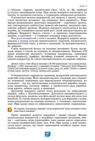 Тема 3
57
ç ãóáêàìè, ãіäðàìè, ìîëþñêàìè) (ìàë. 15.3, À, Á), ãðèáàìè
(ó ñêëàäі ëèøàéíèêіâ) òîùî. Ïðè öüîìó âîäîðîñòі ïîñòà÷àþòü їì
êèñåíü òà îðãàíі÷íі ñïîëóêè, à îòðèìóþòü ìіíåðàëüíі ðå÷îâèíè.
Ç âіäìåðëèõ ðåøòîê âîäîðîñòåé, ÿêі æèâóòü ó ґðóíòі, óòâîðþ-
єòüñÿ îðãàíі÷íà ðå÷îâèíà, ùî ïіäâèùóє éîãî ðîäþ÷іñòü. Òîìó
ìàñîâå ðîçìíîæåííÿ ґðóíòîâèõ âîäîðîñòåé – «öâіòіííÿ» ґðóíòó,
ÿêå ñïîñòåðіãàþòü íàé÷àñòіøå íàâåñíі àáî âîñåíè, ââàæàþòü ïðè-
êìåòîþ äîáðîãî âðîæàþ. Âіäìåðëі âîäîðîñòі îïóñêàþòüñÿ íà äíî
âîäîéì, äå óòâîðþþòü îðãàíі÷íèé ìóë, ÿêèé âèêîðèñòîâóþòü ÿê
äîáðèâî. Âîäîðîñòі áåðóòü ó÷àñòü і â ïðîöåñàõ ñàìîî÷èùåííÿ
âîäîéì, à äіàòîìîâі – ó ñòâîðåííі îñàäîâèõ ïîðіä äіàòîìіòіâ.
ßêà ðîëü âîäîðîñòåé ó æèòòі ëþäèíè. Âîäîðîñòі øèðîêî çàñòî-
ñîâóþòü ó ðіçíèõ ãàëóçÿõ ïðîìèñëîâîñòі: õàð÷îâіé, êîñìåòîëîãії,
ôàðìàêîëîãі÷íіé òîùî, à òàêîæ ó ìåäèöèíі. Їõ âèêîðèñòîâóþòü і
ÿê äîáðèâî.
Ñëàíü âîäîðîñòåé áàãàòà íà ïîæèâíі ðå÷îâèíè: áіëêè, âóãëå-
âîäè, æèðè, à òàêîæ íà âіòàìіíè òà ìіêðîåëåìåíòè. Áëèçüêî 170
âèäіâ âîäîðîñòåé ââàæàþòü їñòіâíèìè (íàïðèêëàä, ëàìіíàðіþ
(áóðі âîäîðîñòі), ïîðôіðó, ôіëîôîðó (÷åðâîíі âîäîðîñòі), óëüâó
(çåëåíі âîäîðîñòі)). Їõ òàêîæ âèêîðèñòîâóþòü ÿê õàð÷îâі äîáàâêè.
( ) ( )
Цікаво знати. Уміст Йоду в ламінарії у 30 000 разів вищий, ніж у морській воді,
Фосфору – у 500. Значний уміст у ламінарії й вітамінів. У більшості країн Південно-
Східної Азії ламінарію додають до різних страв з рису, сої, риби. Готують з ламіна-
рії різні соуси, пастилу, тістечка, начинку для цукерок.
Ç áàãðÿíêîâîãî êðîõìàëþ ÷åðâîíèõ âîäîðîñòåé âèãîòîâëÿþòü
àãàð (àáî àãàð-àãàð). Éîãî âèêîðèñòîâóþòü íàóêîâöі äëÿ ñòâîðåí-
íÿ ïîæèâíèõ ñåðåäîâèù äëÿ âèðîùóâàííÿ ìіêðîîðãàíіçìіâ, ÿê
çãóùóâà÷ – ïіä ÷àñ âèãîòîâëåííÿ êîíäèòåðñüêèõ âèðîáіâ, íàïðè-
êëàä ìàðìåëàäó, ïàñòèëè, çåôіðó, ó êîñìåòîëîãії (äëÿ âèðîáíè-
öòâà êðåìіâ, çóáíèõ ïàñò), ó ìåäèöèíі.
Äіàòîìîâі âîäîðîñòі çäàòíі ÷іòêî ðåàãóâàòè íà çàáðóäíåííÿ
âîäîéì, òîáòî є áіîіíäèêàòîðàìè. Äіàòîìіòè âèêîðèñòîâóþòü ó
ñêëàäі ôіëüòðіâ, çîêðåìà äëÿ ôіëüòðàöії ïèòíîї âîäè àáî âîäè äëÿ
áàñåéíіâ. Їõ òàêîæ ìîæóòü âèêîðèñòîâóâàòè äëÿ áîðîòüáè ç êîìà-
õàìè-øêіäíèêàìè íà ñàäîâèõ äіëÿíêàõ, ó òåïëèöÿõ, îâî÷åñõîâè-
ùàõ. Ïðè öüîìó âîíè íå çàáðóäíþþòü íàâêîëèøíє ñåðåäîâèùå.
Як людина, визначаючи видовий склад водоростей, може оцінювати якість
води певної водойми?
Ïðîòå âîäîðîñòі ìîæóòü çàâäàâàòè і ïåâíîї øêîäè. Ìàñîâå
ðîçìíîæåííÿ âîäîðîñòåé ó âîäîéìàõ ñïðè÷èíþє íåãàòèâíå ÿâè-
ùå – «öâіòіííÿ» âîäè (ïðèãàäàéòå, òàêå ÿâèùå çäàòíі ñïðè÷èíè-
òè òàêîæ öіàíîáàêòåðії (äèâ. ìàë. 9.4). Ïðè öüîìó ó âîäі çíèæó-
єòüñÿ âìіñò êèñíþ, ùî ìîæå ñïðè÷èíèòè çàãèáåëü іíøèõ ìåø-
êàíöіâ âîäîéì.
 