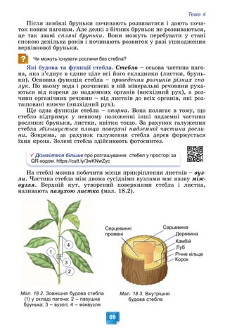 Тема 4
69
Ïіñëÿ çèìіâëі áðóíüêè ïî÷èíàþòü ðîçâèâàòèñÿ і äàþòü ïî÷à-
òîê íîâèì ïàãîíàì. Àëå äåÿêі ç áі÷íèõ áðóíüîê íå ðîçâèâàþòüñÿ,
öå òàê çâàíі ñïëÿ÷і áðóíüêè. Âîíè ìîæóòü ïåðåáóâàòè ó ñòàíі
ñïîêîþ äåêіëüêà ðîêіâ і ïî÷èíàþòü ðîçâèòîê ó ðàçі óøêîäæåííÿ
âåðõіâêîâîї áðóíüêè.
Чи можуть існувати рослини без стебла?
ßêі áóäîâà òà ôóíêöії ñòåáëà. Ñòåáëî – îñüîâà ÷àñòèíà ïàãî-
íà, ÿêà ç’єäíóє â єäèíå öіëå âñі éîãî ñêëàäíèêè (ëèñòêè, áðóíü-
êè). Îñíîâíà ôóíêöіÿ ñòåáëà – ïðîâåäåííÿ ðîç÷èíіâ ðіçíèõ ñïî-
ëóê. Ïî íüîìó âîäà і ðîç÷èíåíі â íіé ìіíåðàëüíі ðå÷îâèíè ðóõà-
þòüñÿ âіä êîðåíÿ äî íàäçåìíèõ îðãàíіâ (âèñõіäíèé ðóõ), à ðîç-
÷èíè îðãàíі÷íèõ ðå÷îâèí – âіä ëèñòêіâ äî âñіõ îðãàíіâ, ÿêі ðîç-
òàøîâàíі íèæ÷å (íèçõіäíèé ðóõ).
Ùå îäíà ôóíêöіÿ ñòåáëà – îïîðíà. Âîíà ïîëÿãàє â òîìó, ùî
ñòåáëî ïіäòðèìóє ó ïåâíîìó ïîëîæåííі іíøі íàäçåìíі ÷àñòèíè
ðîñëèíè: áðóíüêè, ëèñòêè, êâіòêè òîùî. Çà ðàõóíîê ãàëóæåííÿ
ñòåáëà çáіëüøóєòüñÿ ïëîùà ïîâåðõíі íàäçåìíîї ÷àñòèíè ðîñëè-
íè. Çîêðåìà, çà ðàõóíîê ãàëóæåííÿ ñòåáëà äåðåâ ôîðìóєòüñÿ
їõíÿ êðîíà. Çåëåíі ñòåáëà çäіéñíþþòü ôîòîñèíòåç.
Дізнайтеся більше про розташування стебел у просторі за
QR-кодом. https://cutt.ly/3wKNwZyc
Íà ñòåáëі ìîæíà ïîáà÷èòè ìіñöÿ ïðèêðіïëåííÿ ëèñòêіâ – âóç-
ëè. ×àñòèíà ñòåáëà ìіæ äâîìà ñóñіäíіìè âóçëàìè ìàє íàçâó ìіæ-
âóçëÿ. Âåðõíіé êóò, óòâîðåíèé ïîâåðõíÿìè ñòåáëà і ëèñòêà,
íàçèâàþòü ïàçóõîþ ëèñòêà (ìàë. 18.2).
4
1
2
3
Мал. 18.2. Зовнішня будова стебла
(1) у складі пагона: 2 – пазушна
брунька; 3 – вузол; 4 – міжвузля
Мал. 18.3. Внутрішня
будова стебла
Корок
Річне кільце
Луб
Камбій
Деревина
Серцевина
Серцевинні
промені
ні
 