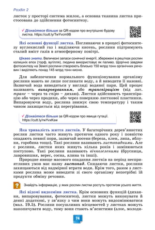 Розділ 2
74
ëèñòîê ó ïðîñòîðі ñèñòåìà æèëîê, à îñíîâíà òêàíèíà ëèñòêà ïðè-
ñòîñîâàíà äî çäіéñíåííÿ ôîòîñèíòåçó.
Дізнайтеся більше за QR-кодом про внутрішню будову
листка. https://cutt.ly/TwYvcm9B
ßêі îñíîâíі ôóíêöії ëèñòêà. Ïîãëèíàþ÷è â ïðîöåñі ôîòîñèíòå-
çó âóãëåêèñëèé ãàç і âèäіëÿþ÷è êèñåíü, ðîñëèíè ïіäòðèìóþòü
ñòàëèé âìіñò ãàçіâ â àòìîñôåðíîìó ïîâіòðі.
Цікаво знати. Величезні запаси сонячної енергії, збережені в рештках рослин
колишніх епох (торф, вугілля), людина використовує як паливо. Щорічно завдяки
фотосинтезу на Землі рослини створюють близько 150 млрд тонн органічних речо-
вин і виділяють понад 145 млрд тонн кисню.
Äëÿ çàáåçïå÷åííÿ íîðìàëüíîãî ôóíêöіîíóâàííÿ îðãàíіçìó
ðîñëèíè ìàþòü íå ëèøå ïîãëèíàòè âîäó, à é âèâîäèòè її íàçîâíі.
Çàçâè÷àé âîäà âèâîäèòüñÿ ó âèãëÿäі âîäÿíîї ïàðè. Öåé ïðîöåñ
íàçèâàþòü âèïàðîâóâàííÿì, àáî òðàíñïіðàöієþ (âіä ëàò.
òðàíñ – ÷åðåç òà ñïіðî – äèõàþ). Ëèñòêè çäіéñíþþòü òðàíñïіðà-
öіþ àáî ÷åðåç ïðîäèõè, àáî ÷åðåç ïîâåðõíþ ëèñòêîâîї ïëàñòèíêè.
Âèïàðîâóþ÷è âîäó, ðîñëèíà çíèæóє ñâîþ òåìïåðàòóðó і òàêèì
÷èíîì çàõèùàєòüñÿ âіä ïåðåãðіâàííÿ.
Дізнайтеся більше за QR-кодом про явище гутації.
https://cutt.ly/rwYvxKsw
ßêà òðèâàëіñòü æèòòÿ ëèñòêіâ. Ó áàãàòîðі÷íèõ äåðåâ’ÿíèñòèõ
ðîñëèí ëèñòêè ÷àñòî æèâóòü ïðîòÿãîì îäíîãî ðîêó і ïîâíіñòþ
îïàäàþòü ïåâíîї ïîðè, çàçâè÷àé âîñåíè (áåðåçà, êëåí, ëèïà, ÿáëó-
íÿ, ãîðîáèíà òîùî). Òàêі ðîñëèíè íàçèâàþòü ëèñòîïàäíèìè. Àëå
є ðîñëèíè, ëèñòêè ÿêèõ æèâóòü êіëüêà ðîêіâ і çàìіíþþòüñÿ
ïîñòóïîâî. Òàêі ðîñëèíè íàçèâàþòü âі÷íîçåëåíèìè (áðóñíèöÿ,
ëàâðîâèøíÿ, âåðåñ, ñîñíà, ÿëèíà òà іíøі).
Ïðèðîäíå ÿâèùå ìàñîâîãî îïàäàííÿ ëèñòêіâ íà ïåðіîä íåñïðè-
ÿòëèâèõ óìîâ ìàє íàçâó ëèñòîïàä. Ñêèäàþ÷è ëèñòêè, ðîñëèíè
çàõèùàþòüñÿ âіä íàäìіðíîї âòðàòè âîäè. Êðіì òîãî, ðàçîì ç ëèñò-
êàìè ðîñëèíà ìîæå âèâîäèòè çі ñâîãî îðãàíіçìó íåïîòðіáíі їé
ïðîäóêòè îáìіíó ðå÷îâèí.
Знайдіть інформацію, у яких рослин листки ростуть протягом усього життя.
ßêі âіäîìі âèäîçìіíè ëèñòêà. Êðіì îñíîâíèõ ôóíêöіé (äèõàí-
íÿ, âèïàðîâóâàííÿ, ôîòîñèíòåç), ëèñòêè ìîæóòü âèêîíóâàòè é
äåÿêі äîäàòêîâі, ó çâ’ÿçêó ç ÷èì âîíè ìîæóòü âèäîçìіíþâàòèñÿ
(ìàë. 19.5). Ðîñëèíè ïîñóøëèâèõ ìіñöåâîñòåé ó ëèñòêàõ ìîæóòü
íàêîïè÷óâàòè âîäó, òîìó âîíè ñòàþòü ì’ÿñèñòèìè (àëîå, ìîëîäè-
 