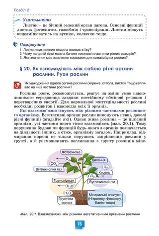 Розділ 2
76
Узагальнення
Ëèñòîê – öå áі÷íèé çåëåíèé îðãàí ïàãîíà. Îñíîâíі ôóíêöії
ëèñòêà: ôîòîñèíòåç, ãàçîîáìіí і òðàíñïіðàöіÿ. Ëèñòêè ìîæóòü
âèäîçìіíþâàòèñü íà âóñèêè, êîëþ÷êè òîùî.
Поміркуйте
1. Листки яких рослин людина вживає в їжу?
2. Чому на одній гілці можна бачити листкові пластинки різних розмірів?
3. Яке значення має живлення комахами для комахоїдних рослин?
§ 20. Як взаємодіють між собою різні органи
рослини. Рухи рослин
Як ушкодження одного органа рослини (коренів, стебла, листків тощо) впли-
ває на інші частини рослини?
Ðîñëèíà ðîñòå, ðîçìíîæóєòüñÿ, ðåàãóє íà çìіíè óìîâ íàâêî-
ëèøíüîãî ñåðåäîâèùà çàâäÿêè ïîñòіéíîìó îáìіíîâі ðå÷îâèí і
ïåðåòâîðåííþ åíåðãії. Äëÿ íîðìàëüíîї æèòòєäіÿëüíîñòі ðîñëèíі
íåîáõіäíі ðîçâèòîê і âçàєìîäіÿ âñіõ її îðãàíіâ.
ßêі âçàєìîçâ’ÿçêè іñíóþòü ìіæ ðіçíèìè ÷àñòèíàìè ðîñëèííî-
ãî îðãàíіçìó. Âåãåòàòèâíі îðãàíè ðîñëèí âèêîíóþòü ïåâíі, äîâîëі
ðіçíі ôóíêöії (çãàäàéòå ÿêі). Îäíàê æèâà ðîñëèíà – öå öіëіñíèé
îðãàíіçì, óñі ÷àñòèíè ÿêîãî òіñíî âçàєìîäіþòü (ìàë. 20.1). Òîìó
ïîðóøåííÿ áóäîâè ÷è ôóíêöіé áóäü-ÿêîãî ç îðãàíіâ ïîçíà÷àєòüñÿ
íà äіÿëüíîñòі іíøèõ, à îòæå, îðãàíіçìó çàãàëîì. Íàïðèêëàä, âіä-
ìèðàííÿ êîðåíÿ íå òіëüêè ïîðóøèòü çàêðіïëåííÿ ðîñëèíè ó
ґðóíòі, à é óíåìîæëèâèòü ïîãëèíàííÿ ç ґðóíòó ðîç÷èíіâ ìіíå-
Ґрунтова
волога
Т
нтез
Д
Транспірація
Фотосинтез
ання
Диха
СО2
2
Вуглекислий газ
H2О
H2О
СО2
2
Кисень
О2
2
О2
2
Мінеральні сполуки
(Нітрогену, Фосфору,
Калію тощо)
Вуглекислий газ
Мал. 20.1. Взаємозв’язки між різними вегетативними органами рослини
 