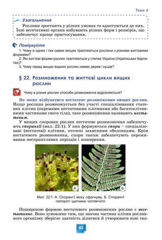 Тема 4
83
Узагальнення
Ðîñëèíè çðîñòàþòü ó ðіçíèõ óìîâàõ òà àäàïòóþòüñÿ äî íèõ.
Їõíі âåãåòàòèâíі îðãàíè íàáóâàþòü ðіçíèõ ôîðì і ðîçìіðіâ, ùî
çàáåçïå÷óє êðàùå ïðèñòîñóâàííÿ.
Поміркуйте
1. Чому в одних і тих самих місцях трапляються рослини з різними життєвими
формами?
2. Які життєві форми рослин трапляються у степах України (Українських Карпа-
тах)?
3. Чому серед вищих водних рослин немає дерев і кущів?
§ 22. Розмноження та життєві цикли вищих
рослин
Чому в різних рослин способи розмноження відрізняються?
ßê ìîæå âіäáóâàòèñÿ íåñòàòåâå ðîçìíîæåííÿ âèùèõ ðîñëèí.
ßêùî ðîñëèíà ðîçìíîæóєòüñÿ áåç ó÷àñòі ñïåöіàëіçîâàíèõ ñòàòå-
âèõ êëіòèí (îêðåìèìè íåñòàòåâèìè êëіòèíàìè àáî áàãàòîêëіòèí-
íèìè ÷àñòèíàìè ñâîãî òіëà), òàêå ðîçìíîæåííÿ íàçèâàþòü íåñòà-
òåâèì.
Ó âèùèõ ñïîðîâèõ ðîñëèí íåñòàòåâå ðîçìíîæåííÿ çàáåçïå÷ó-
þòü ñïîðàíãії (ìàë. 22.1). Ó íèõ ôîðìóþòüñÿ
ї ñïîðè – ñïåöіàëіçî-
âàíі (íåñòàòåâі) êëіòèíè, îòî÷åíі çàõèñíèìè îáîëîíêàìè. Êðіì
íåñòàòåâîãî ðîçìíîæåííÿ, ñïîðè òàêîæ çàáåçïå÷óþòü ïåðåæè-
âàííÿ íåñïðèÿòëèâèõ ïåðіîäіâ і ïîøèðåííÿ.
А Б
Мал. 22.1. А. Спорангії моху сфагнуму. Б. Спорангії
папороті щитника чоловічого
Ïîøèðåíîþ ôîðìîþ íåñòàòåâîãî ðîçìíîæåííÿ ðîñëèí є âåãå-
òàòèâíå. Âîíî çóìîâëåíå òèì, ùî çíà÷íà ÷àñòèíà êëіòèí ðîñëèí-
íîãî îðãàíіçìó çáåðіãàє çäàòíіñòü äіëèòèñÿ é óòâîðþâàòè íîâі òêà-
 