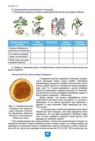Розділ 2
88
ІІІ. Усвідомлюю закономірності природи
1. Розгляньте малюнки, вставте характеристики рослин до комірок таблиці.
Характеристики
рослини
Кріп
запашний
Картопля Імбир
аптечний
Морква
звичайна
рослини на малюнку
4
Як людина викорис-
товує цю рослину?
Який орган рослини
використовують?
2. Наведіть приклади рухів, які забезпечують пристосування різних рослин до
умов існування.
Компетентнісно орієнтоване завдання
У деревних рослин деревина (ксилема) утворю-
ється внаслідок поділу клітин камбію. Наслідком
нерівномірної активності камбію в різні сезони є річні
кільця, добре помітні на поперечних зрізах деревини
(див. мал. 1). З віком деревина в центрі стовбура
перестає виконувати провідну функцію й темнішає.
Цю внутрішню частину деревини називають ядром, а
більш вологу зовнішню – заболонню.
Добре відомо, що можна пофарбувати жилки
трав’янистої рослини, якщо поставити її у склянку з
барвником. А чи можна дослідити рух барвника у
дереві? Із цим питанням Тарас звернувся до тата.
Той сказав:
– У нашому саду є невелике деревце сумах. Воно
прижилося після посадки, але нам доведеться його
прибирати, бо там буде мінібасейн. Можемо перед
тим, як його прибрати, провести такий дослід. Але
доведеться почекати травня.
Тато запропонував таку схему досліду: «Спекотним днем близько полудня на
південній половині стебла зробимо ручною пилкою надріз на глибину майже до
серцевини та закріпимо ємність із барвником, щоб він потрапив у стебло. Залиши-
мо на 30 хв, після чого наріжемо спилів на відстані 10, 30, 50 і 100 см від місця, де
Мал. 1. Поперечний зріз
стовбура тиса ягідного:
ядро темніше і ближче
до серцевини, заболонь
світліша і розташована
ближче до кори
1 2 3 4
 