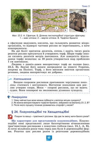 Тема 5
93
Мал. 23.2. А. Сфагнум. Б. Ділянка листкоподібної структури сфагнуму:
1 – живі клітини; 2 – мертві клітини. В. Торф’яні брикети
à ñôàãíóìè âèäіëÿþòü êèñëîòè, ùî ãàëüìóþòü ðîçâèòîê ìіêðî-
îðãàíіçìіâ, òî âіäìåðëі ÷àñòèíè ðîñëèí íå ïåðåãíèâàþòü, à íà÷å
êîíñåðâóþòüñÿ.
Íà äíі áîëіò ïðîòÿãîì äåñÿòêіâ, ñîòåíü і íàâіòü òèñÿ÷ ðîêіâ
ðåøòêè ðîñëèí ïðåñóþòüñÿ é óòâîðþþòü òîðô. Øàðè òîðôó іíêî-
ëè ñÿãàþòü äåñÿòêіâ ìåòðіâ çàâòîâøêè. Àëå øâèäêіñòü âіäêëà-
äàííÿ òîðôó íåçíà÷íà: çà 10 ðîêіâ óòâîðþєòüñÿ øàð ïðèáëèçíî
1 ñì çàâòîâøêè.
Ëþäèíà ç äàâíіõ-äàâåí âèêîðèñòîâóє òîðô ÿê ïàëèâî (ìàë.
23.2, Â). Çíà÷íі éîãî çàïàñè çîñåðåäæåíі íà ïіâíî÷і Óêðàїíè,
çîêðåìà íà Ïîëіññі. Òîðô, ç éîãî âèñîêèì âìіñòîì îðãàíі÷íèõ
ðå÷îâèí, ëþäèíà âèêîðèñòîâóє ÿê äîáðèâî.
Узагальнення
Âèùèì ñïîðîâèì ðîñëèíàì ïðèòàìàííå ÷åðãóâàííÿ ïîêî-
ëіíü: ñòàòåâîãî і íåñòàòåâîãî. Íåñòàòåâå ïîêîëіííÿ öèõ ðîñ-
ëèí óòâîðþє ñïîðè. Ìîõè – ñïîðîâі ðîñëèíè, ùî íå ìàþòü
ñóäèí. Âîíè ïîøèðåíі íà çâîëîæåíèõ äіëÿíêàõ ñóõîäîëó.
Поміркуйте
1. Чому найчастіше мохи можна побачити у вологих місцях суходолу?
2. Як можна використовувати торф’яні брикети, зображені на малюнку 23. 2, В?
3. Після якого процесу починає розвиватись спорофіт у мохів?
§ 24. Плауноподібні та Хвощеподібні
Плауни та хвощі – трав’янисті рослини. Що дає їм змогу жити багато років?
Ùî õàðàêòåðíî äëÿ ïðåäñòàâíèêіâ ïëàóíîïîäіáíèõ. Ïëàóíî-
ïîäіáíі íèíі ïðåäñòàâëåíі ëèøå áàãàòîðі÷íèìè âі÷íîçåëåíèìè
òðàâ’ÿíèñòèìè ðîñëèíàìè ç ïîâçó÷èì ñòåáëîì (ìàë. 24.1, À, Á).
À ñîòíі ìіëüéîíіâ ðîêіâ òîìó ñåðåä íèõ áóëè é äåðåâîïîäіáíі ôîð-
ìè. Ðåøòêè öèõ ðîñëèí ðàçîì іç ðåøòêàìè äåðåâîïîäіáíèõ
А Б В
1 2
 