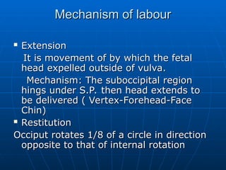 7. Theories of onset of labour and normal labour.ppt