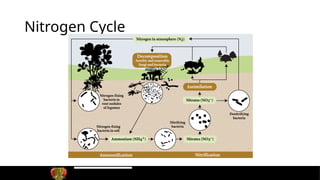 Biogeochemical Cycle Earth and Life Science | PPT