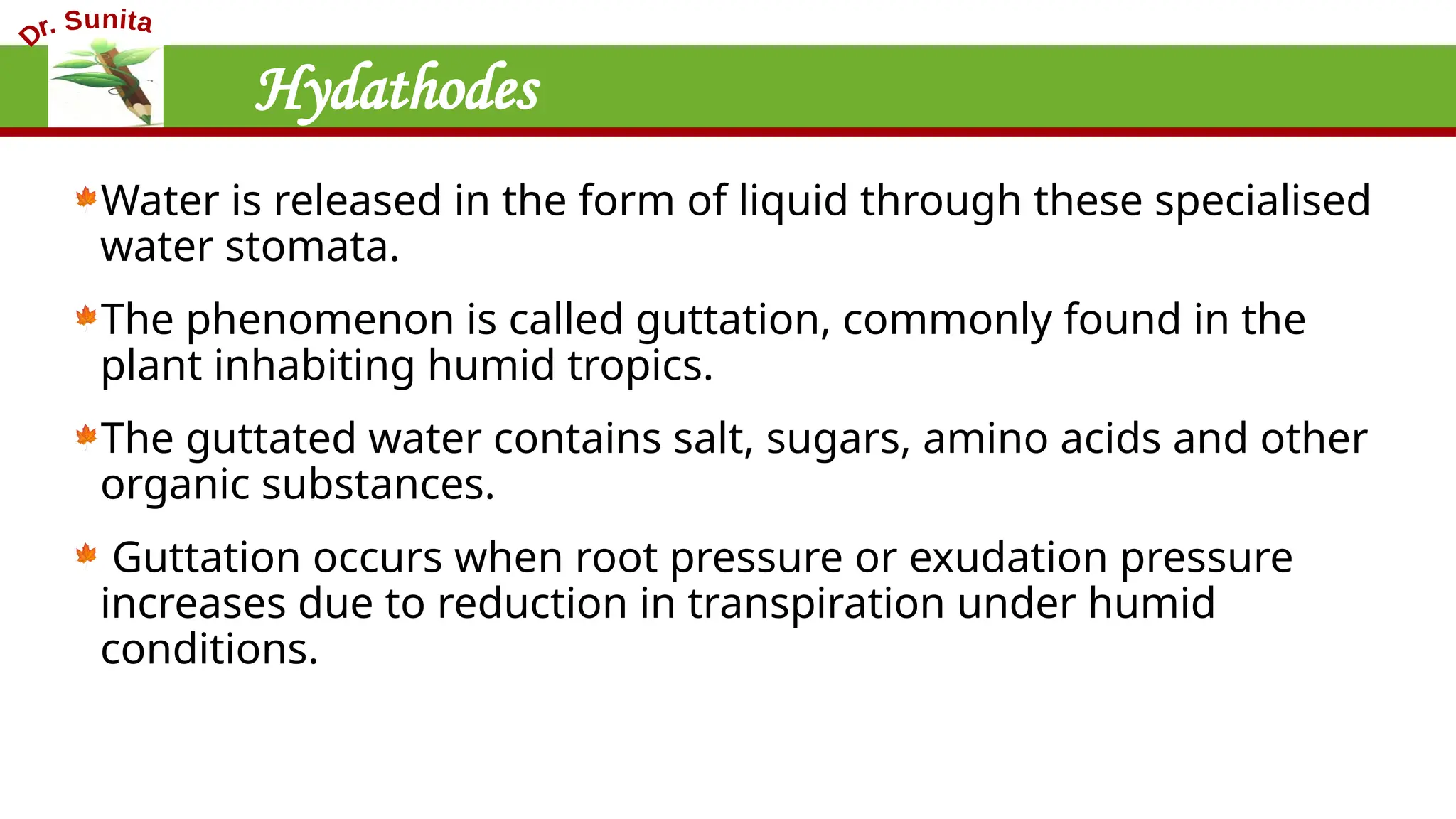 Secretory tissue present in plants.. | PPTX