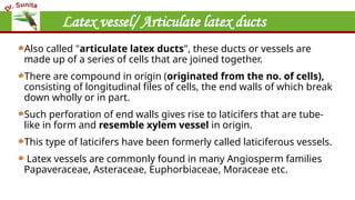 Latex vessel/ Articulate latex ducts
Also called "articulate latex ducts", these ducts or vessels are
made up of a series of cells that are joined together.
There are compound in origin (originated from the no. of cells),
consisting of longitudinal files of cells, the end walls of which break
down wholly or in part.
Such perforation of end walls gives rise to laticifers that are tube-
like in form and resemble xylem vessel in origin.
This type of laticifers have been formerly called laticiferous vessels.
Latex vessels are commonly found in many Angiosperm families
Papaveraceae, Asteraceae, Euphorbiaceae, Moraceae etc.
 
