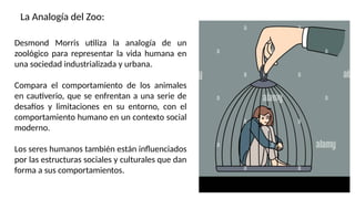 Desmond Morris utiliza la analogía de un
zoológico para representar la vida humana en
una sociedad industrializada y urbana.
Compara el comportamiento de los animales
en cautiverio, que se enfrentan a una serie de
desafíos y limitaciones en su entorno, con el
comportamiento humano en un contexto social
moderno.
Los seres humanos también están influenciados
por las estructuras sociales y culturales que dan
forma a sus comportamientos.
La Analogía del Zoo:
 