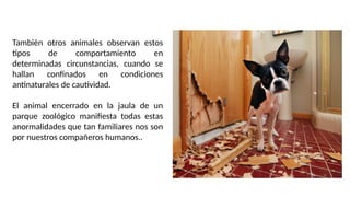 También otros animales observan estos
tipos de comportamiento en
determinadas circunstancias, cuando se
hallan confinados en condiciones
antinaturales de cautividad.
El animal encerrado en la jaula de un
parque zoológico manifiesta todas estas
anormalidades que tan familiares nos son
por nuestros compañeros humanos..
 