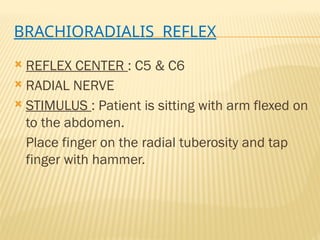 7. REFLEXES examination physiotherapy assessment | PPTX