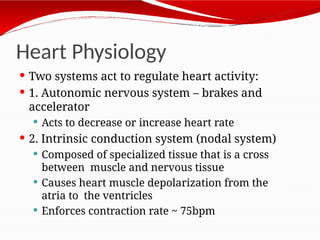 Regulating Heart Activity 7. Cardiovascular system working & function of heart | PPTX