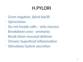 H.PYLORI
 Gram negative, Spiral bacilli
 Spirochetes
 Do not invade cells – only mucous
 Breakdown urea - ammonia
 Break down mucosal defense
 Chronic Superficial inflammation
 Stimulates Gastrin secretion
21
 