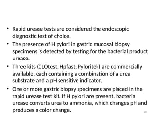 • Rapid urease tests are considered the endoscopic
diagnostic test of choice.
• The presence of H pylori in gastric mucosal biopsy
specimens is detected by testing for the bacterial product
urease.
• Three kits (CLOtest, Hpfast, Pyloritek) are commercially
available, each containing a combination of a urea
substrate and a pH sensitive indicator.
• One or more gastric biopsy specimens are placed in the
rapid urease test kit. If H pylori are present, bacterial
urease converts urea to ammonia, which changes pH and
produces a color change. 28
 