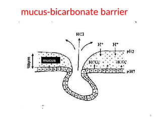 mucus-bicarbonate barrier
mucus
8
 