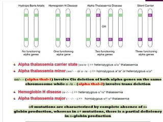 ALPHA THALASSEMIA
There could be an excess of  globins,
leading to the formation of  globin
tetramers (4) called hemoglobin H.
Results in hemolysis, generally shortening
the life span of the red cell.
 