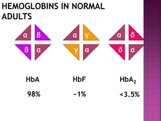 α
α
α
α α
α
β γ δ
β δ
γ
HbA HbF HbA2
98% ~1% <3.5%
HEMOGLOBINS IN NORMAL
ADULTS
 