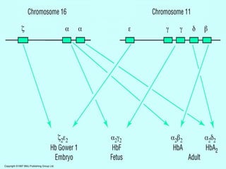 Copyright ©1997 BMJ Publishing Group Ltd.
 