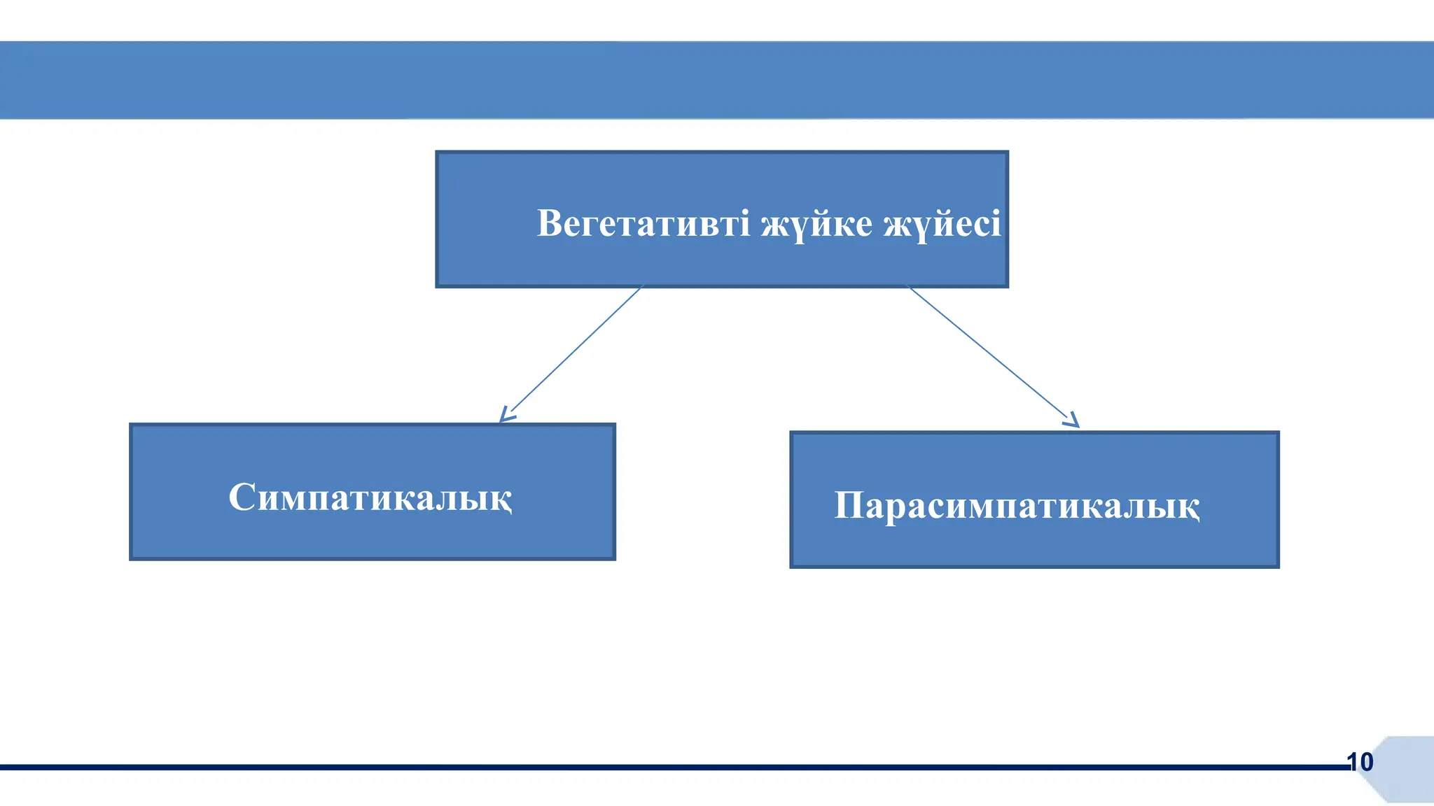 Регина Тодоренконың порно суреттері