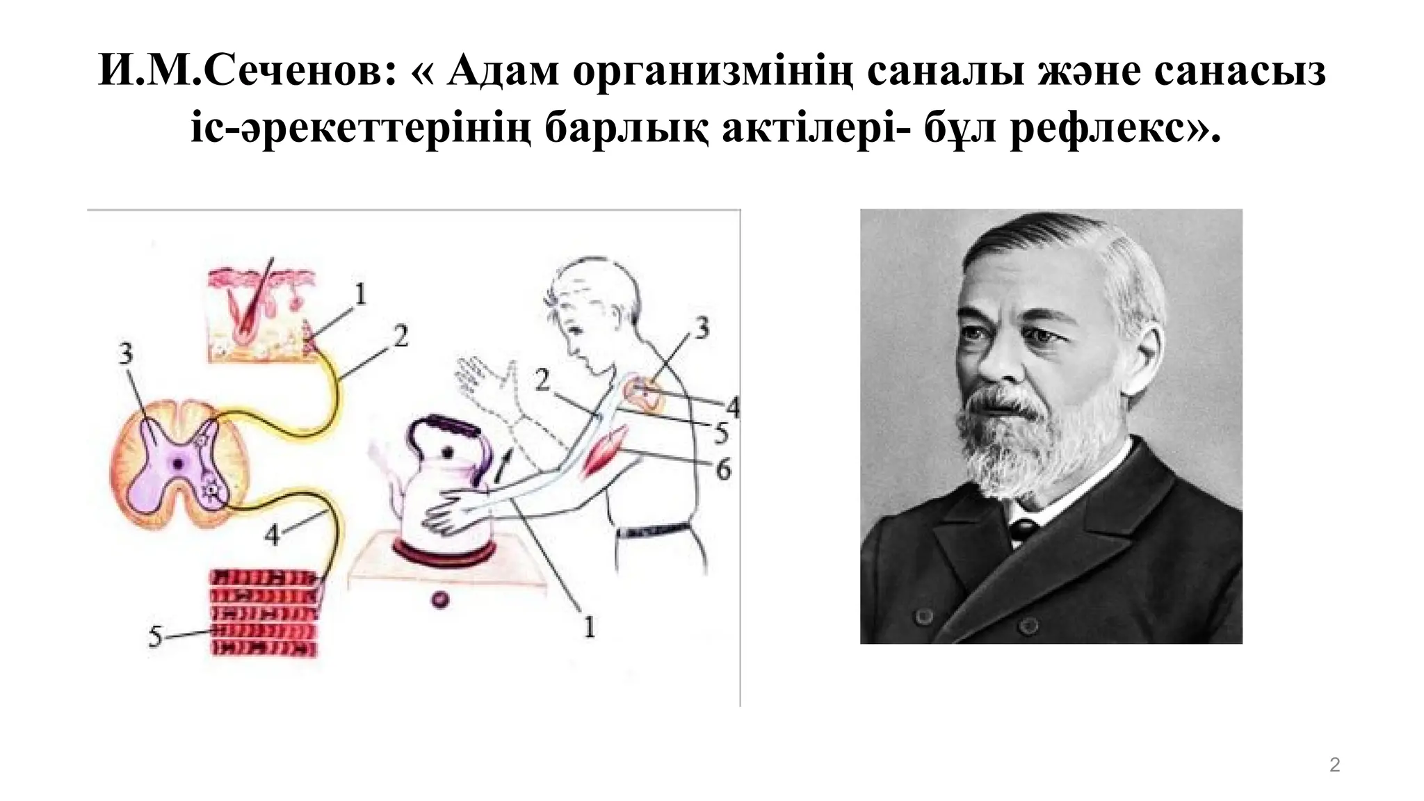 Эротика орыс секс Кремльдегі порно видео