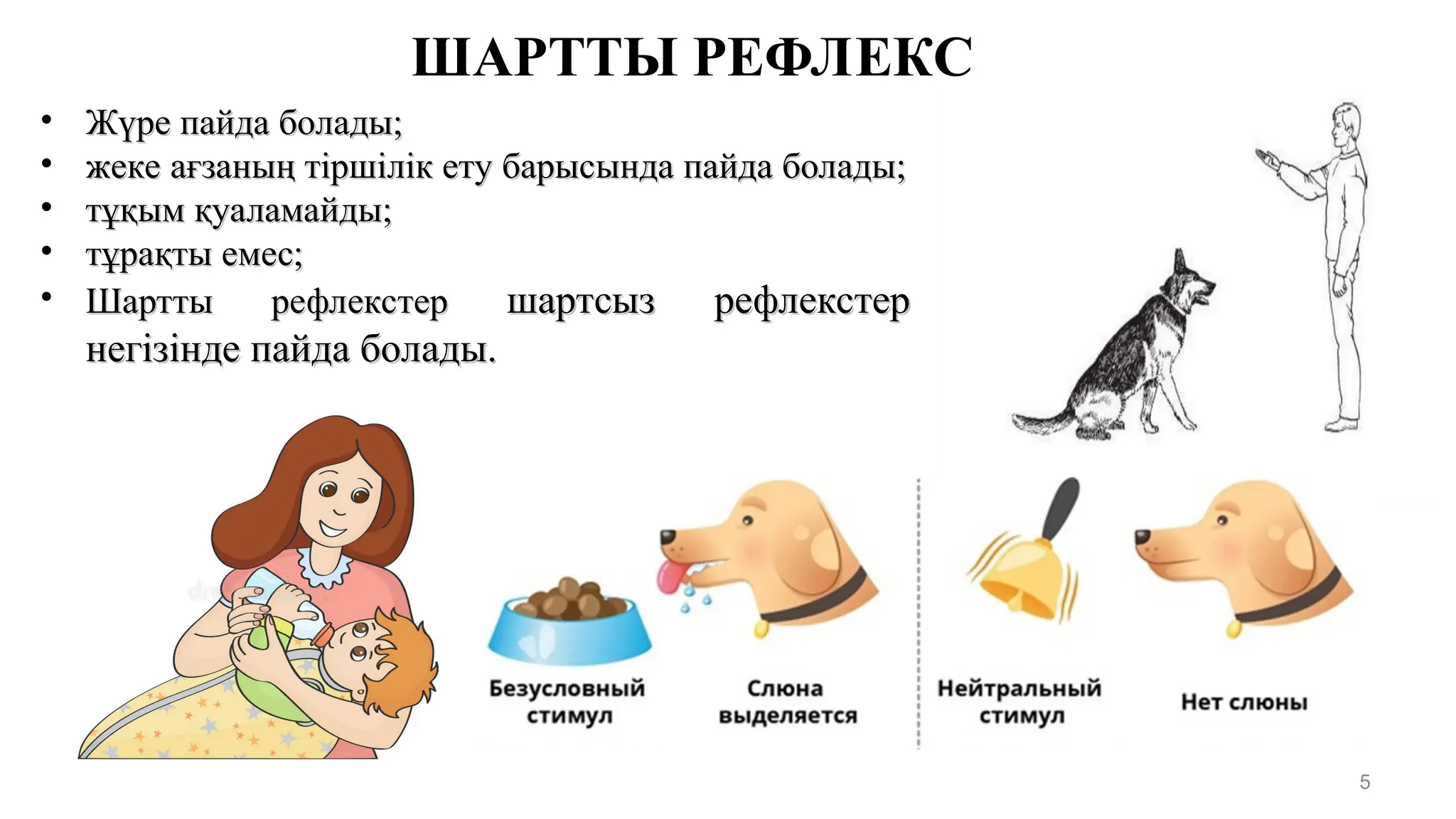 Шарсыз адамның суреті Шарсыз адамның суреті