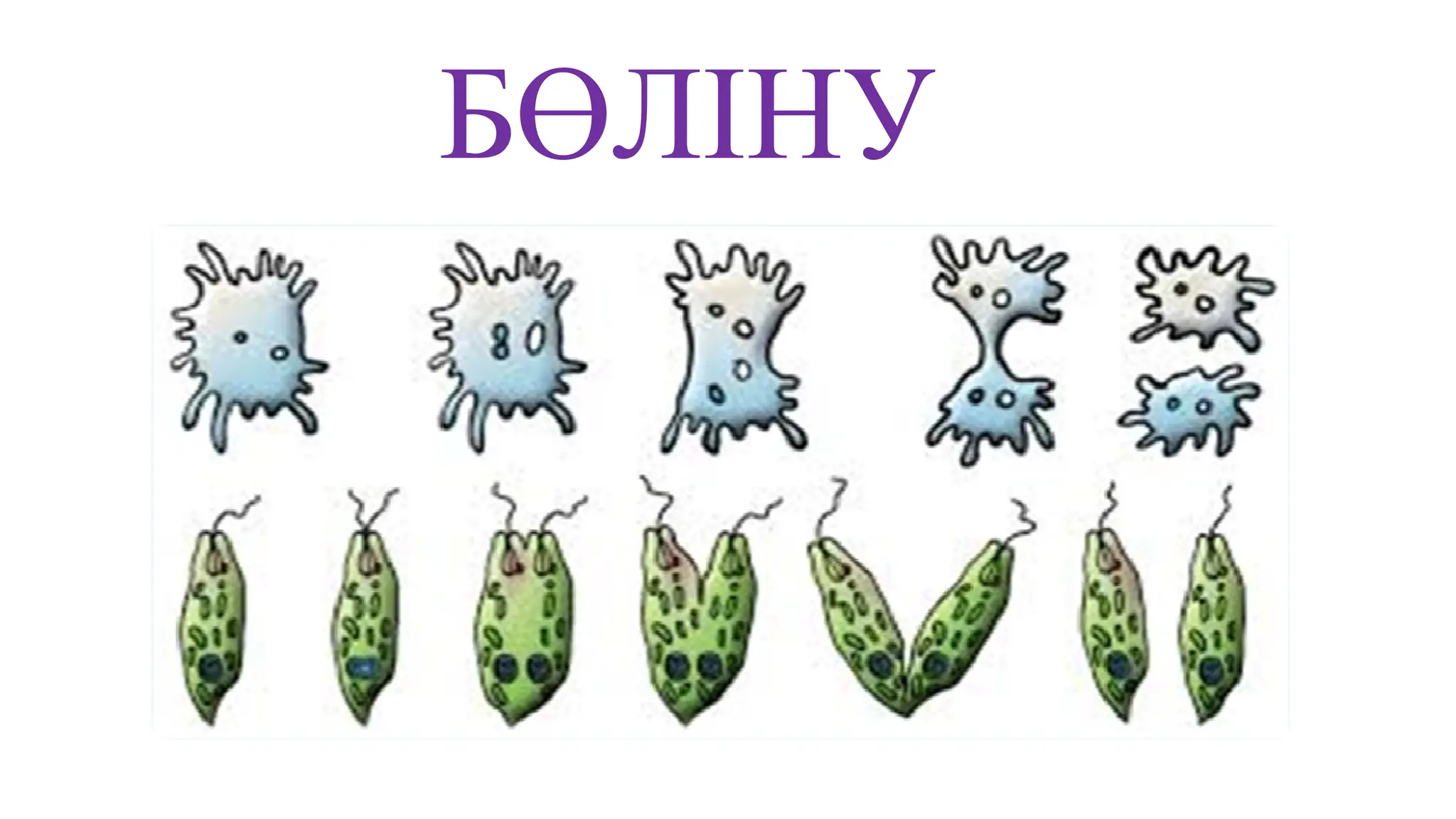 Мас әйелдермен порно видео