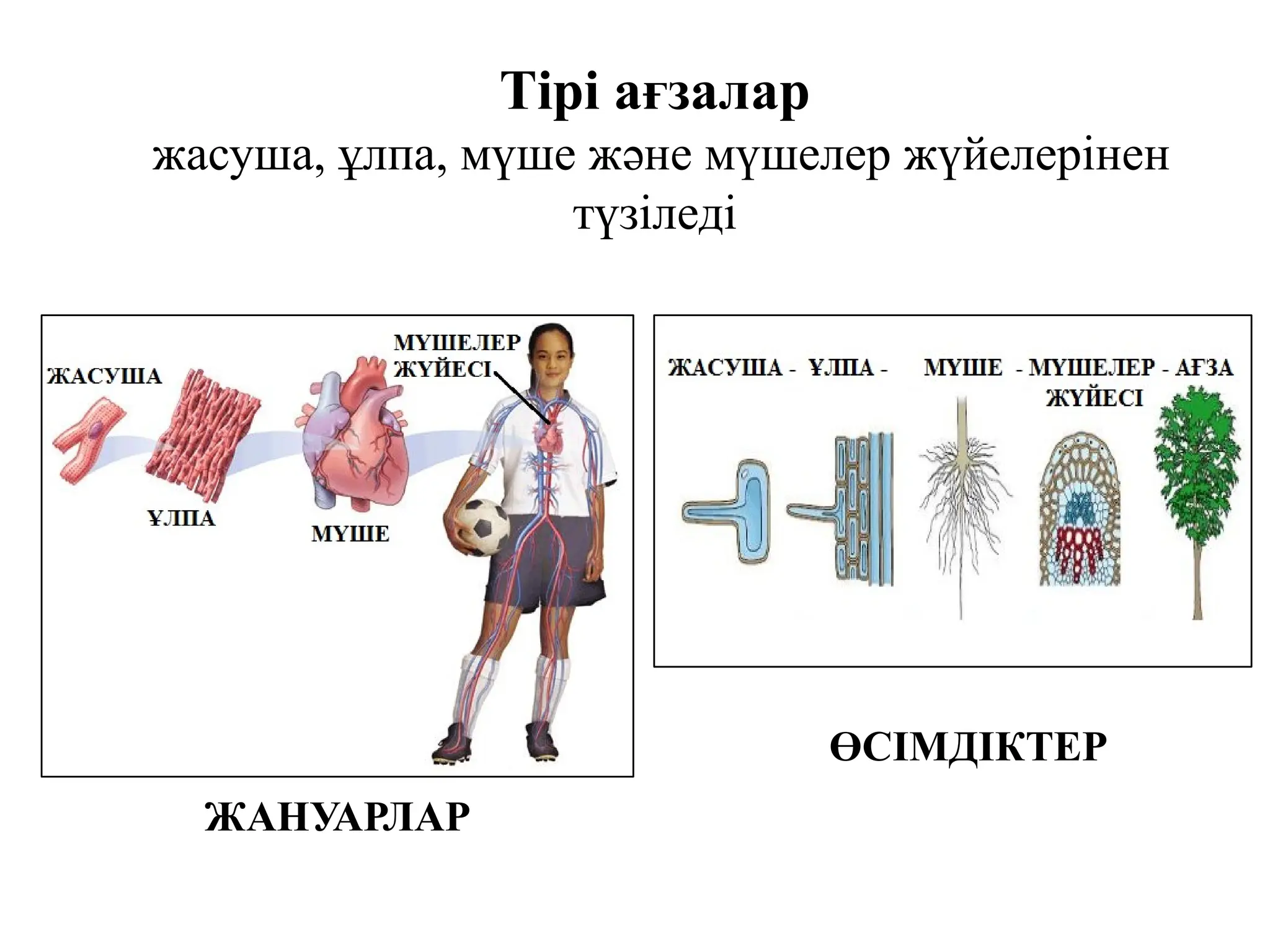 Валентина Азарова порно видео онлайн