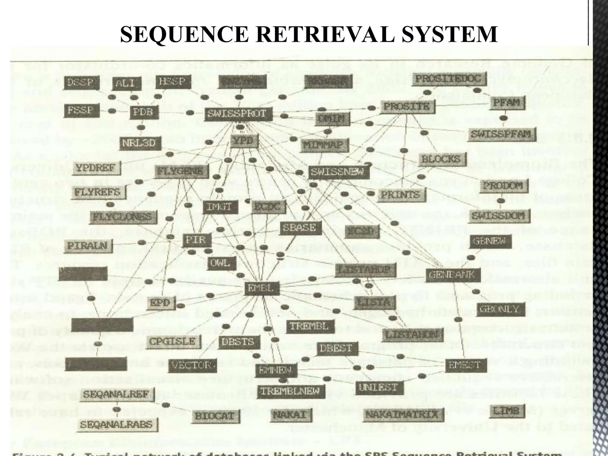 SEQUENCE RETRIEVAL SYSTEM
 