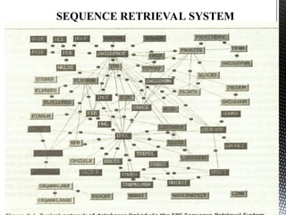 7. Information retrieval from databases.ppt