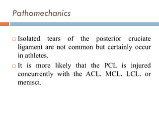 7. MCL & LCL, & PCL ligaments Rehabilitation | PDF