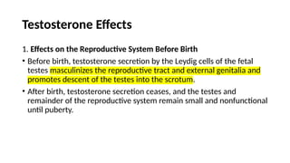 7. Male Reproductive Hormones [Autosaved].pptx
