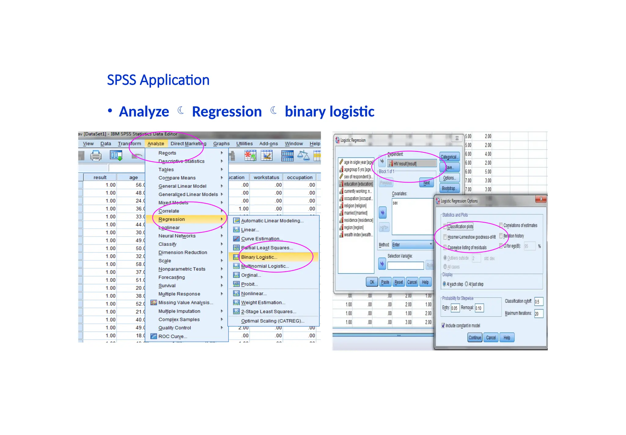 SPSS Application
• Analyze  Regression  binary logistic
 