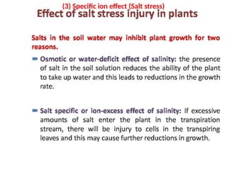 (3) Specific ion effect (Salt stress)
 