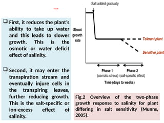 Growth
 First, it reduces the plant’s
ability to take up water
and this leads to slower
growth. This is the
osmotic or water deficit
effect of salinity.
 Second, it may enter the
transpiration stream and
eventually injure cells in
the transpiring leaves,
further reducing growth.
This is the salt-specific or
ion-excess effect of
salinity.
Fig.2 Overview of the two-phase
growth response to salinity for plant
differing in salt sensitivity (Munns,
2005).
 