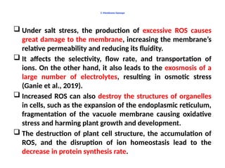 3. Membrane Damage
 Under salt stress, the production of excessive ROS causes
great damage to the membrane, increasing the membrane’s
relative permeability and reducing its fluidity.
 It affects the selectivity, flow rate, and transportation of
ions. On the other hand, it also leads to the exosmosis of a
large number of electrolytes, resulting in osmotic stress
(Ganie et al., 2019).
 Increased ROS can also destroy the structures of organelles
in cells, such as the expansion of the endoplasmic reticulum,
fragmentation of the vacuole membrane causing oxidative
stress and harming plant growth and development.
 The destruction of plant cell structure, the accumulation of
ROS, and the disruption of ion homeostasis lead to the
decrease in protein synthesis rate.
 