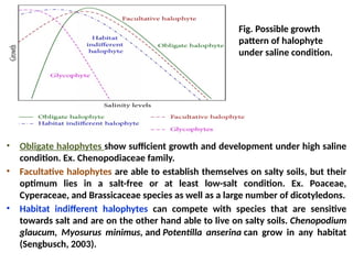 Fig. Possible growth
pattern of halophyte
under saline condition.
• Obligate halophytes show sufficient growth and development under high saline
condition. Ex. Chenopodiaceae family.
• Facultative halophytes are able to establish themselves on salty soils, but their
optimum lies in a salt-free or at least low-salt condition. Ex. Poaceae,
Cyperaceae, and Brassicaceae species as well as a large number of dicotyledons.
• Habitat indifferent halophytes can compete with species that are sensitive
towards salt and are on the other hand able to live on salty soils. Chenopodium
glaucum, Myosurus minimus, and Potentilla anserina can grow in any habitat
(Sengbusch, 2003).
 