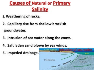 Intrusion of sea water
 