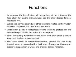 Functions
• In plankton, the free-floating microorganisms at the bottom of the
food chain for marine animals,waxes are the chief storage form of
metabolic fuel.
• Waxes also serve a diversity of other functions related to their water-
repellent properties and their firm consistency.
o Certain skin glands of vertebrates secrete waxes to protect hair and
skin and keep it pliable, lubricated and waterproof.
o Birds, particularly waterfowl secrete waxes from their preen glands to
keep their feathers water-repellent.
o The shiny leaves of holly,rhododendrons, poison ivy, and many
tropical plants are coated with a thick layer of waxes, which prevents
excessive evaporation of water and protects against Parasites.
 