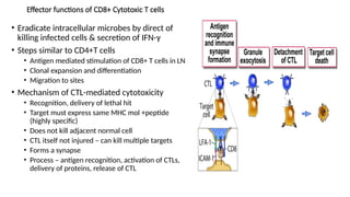 CD4 CD8 T cells immunology lecture slides | PPTX